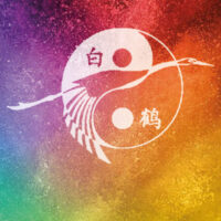 ICONEGRANDI-AIRONE-tai-chi ICONEGRANDI-AIRONE-tai-chi